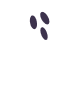 main-image
